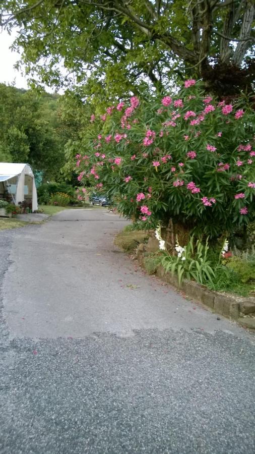 Sot La Mont Bed & Breakfast Cividale Del Friuli Ngoại thất bức ảnh